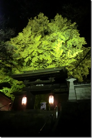 仏法寺大いちょう山門