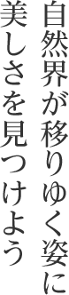 自然界が移りゆく姿に美しさを見つけよう
