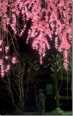 寺族日記ブログ画像